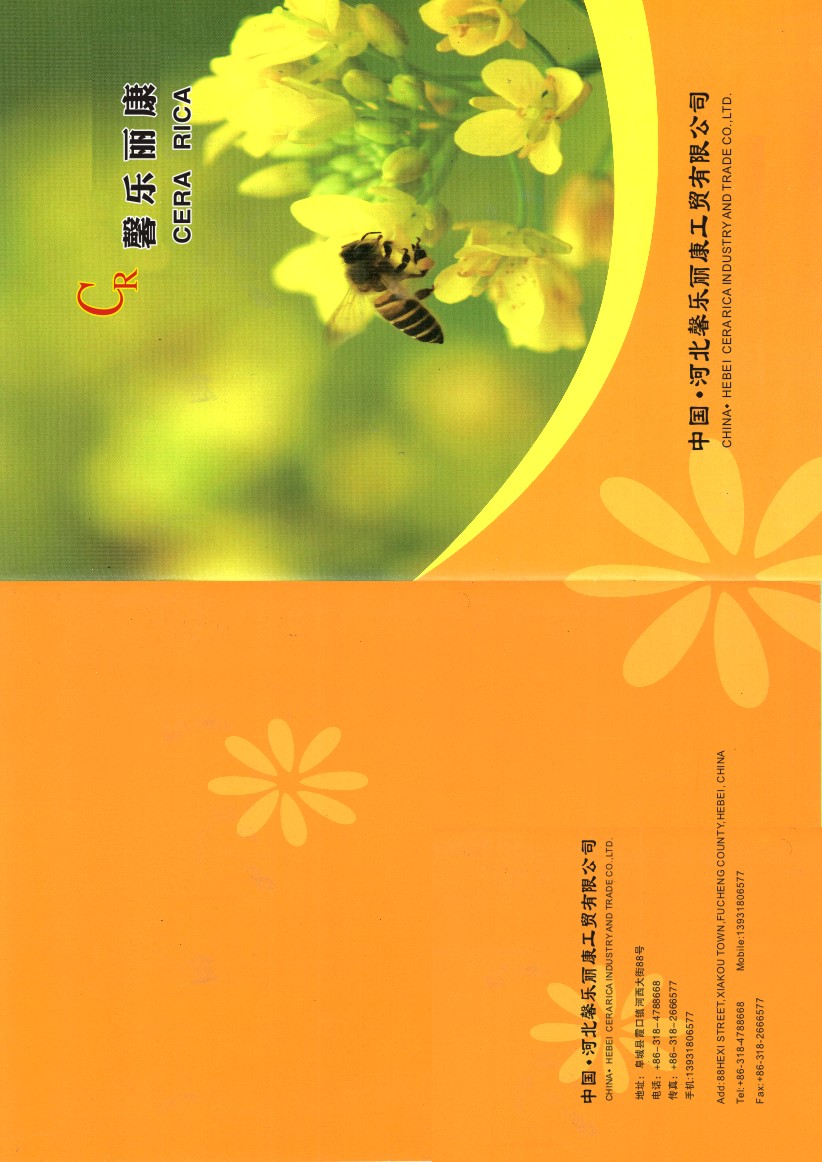 Hebei Cera Rica Industrial and Trade Co., Ltd.